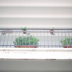 Casa - Natalia Lafourcade (Y La Forquetina) Cover