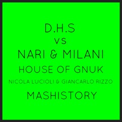 D.H.S. Vs. NARI & MILANI - HOUSE OF GNUK (Nicola Lucioli & Giancarlo Rizzo Mashistory)