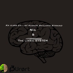 Nia & The Limbic System - Ka gjør eg -/m Audun Sviland Strand (Ute 13 April!)