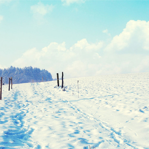 Snowscapes: Nº1 Introduction, Solitude.