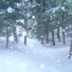 Snowscapes. Nº2 Snowflakes.