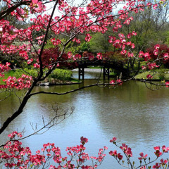 Sweetness Spring - _ - Deejay BantOn'
