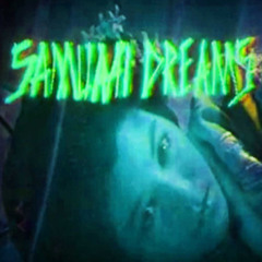 SAMURAI - DREAMS - 05 - 城下町 - Köshrimp