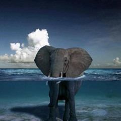 Zane Veremeja  MSMR Dark Doo Wopp Remix