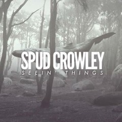 Seeing Things