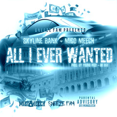 SkylineBank ft. Migo Meech - All I Ever Wanted (Snippet)