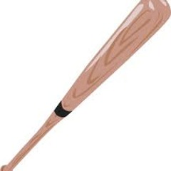 Baseball Bat