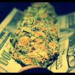 Bean at Frestyle pt 3