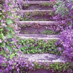 السيد حسن نصرالله في النصر