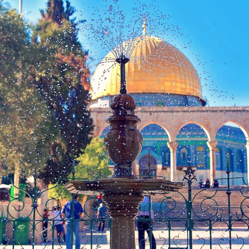 الله اكبر هيا معنا كبروا