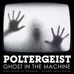 Poltergeist - Ghost in the Machine