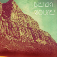 Desert Driving