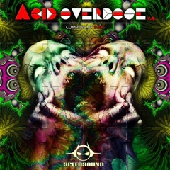 VA - Acid Overdose, Compiled by 8 BIT [PREVIEW]