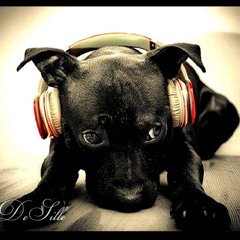 ➎  NEWLiKeS   ┊  TracKⓈ  –  2015  ➔➔