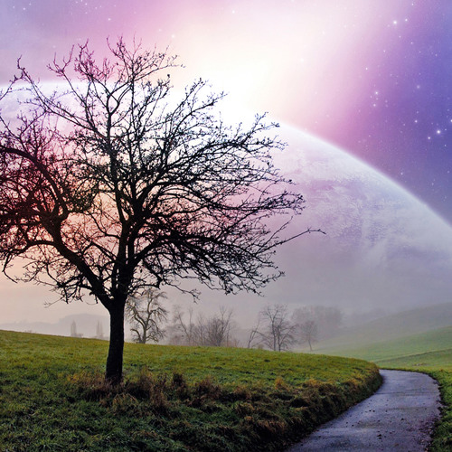 Dreams