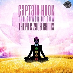 Captain Hook - Power Of Now (Talpa & Zyce Remix) SAMPLE