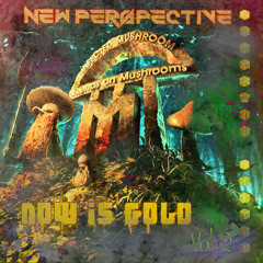 Infected Mushrooms - Now Is Gold (New Perspective)
