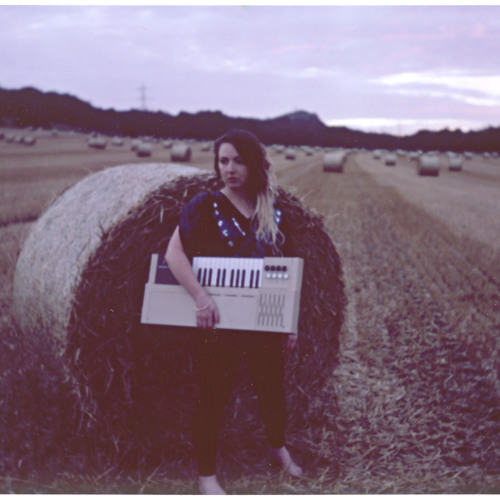 electromagnetic fields (2014)