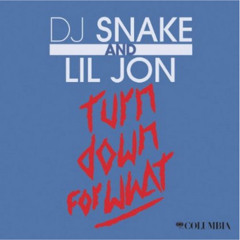DJ Snake & Lil John - Turn Down For What(Mashup)