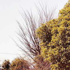 僕らが旅に出る夜 / 笹倉慎介