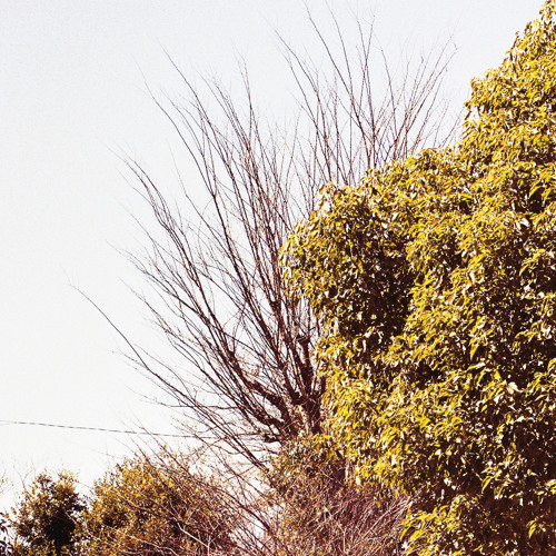 僕らが旅に出る夜 / 笹倉慎介 by TONE