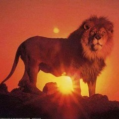 أخي أنت حر وراء السدود - رامي محمد