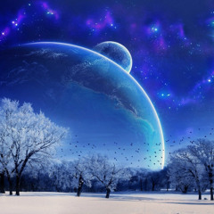 4D [Bakoj X N E T W O R K]