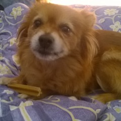 Somewhere Over The Rainbow Instrumental