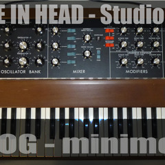 Sterne - Minimoog Model D