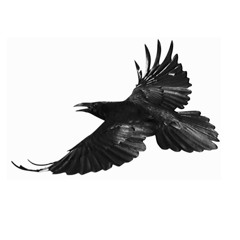 3rd Dena'ina Love Song by Peter Kalifornsky