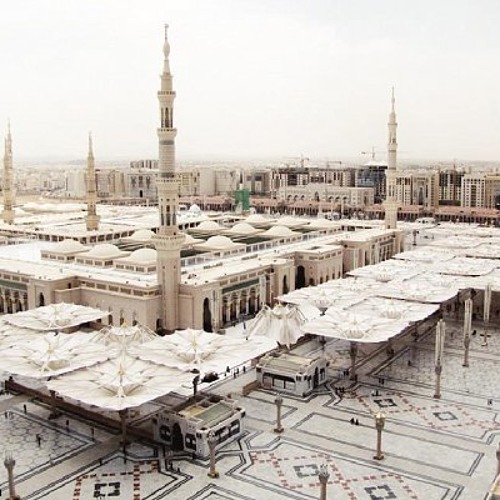 تلاوة القرآن