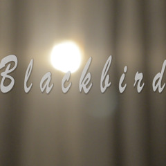 The Beatles - Blackbird (Tian acoustic cover)