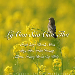 Lý Con Sáo Cần Thơ - Thanh Nhàn (cover)