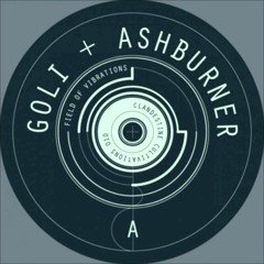 Goli & Ashburner - Field Of Vibrations [SkinzMann Remix] [FreeDownload] 2011