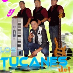 regresa  (los Puntos del amor )los Tukanes en vivo
