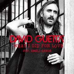 David Guetta Feat. Emeli Sandé - What I Did For Love (Laica Bootleg)