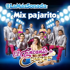 La Más Sonada: El Encanto de Corazón - "Mix pajarito"