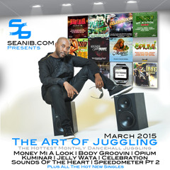 Seani B's Dancehall Art Of Juggling March 2015