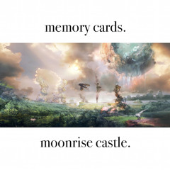 moonrise castle.
