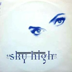 Voices Present Individual - Sky High - Satoshi Tomiie's Interpretation