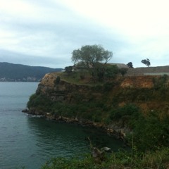 Fuerte Niebla - Valdivia