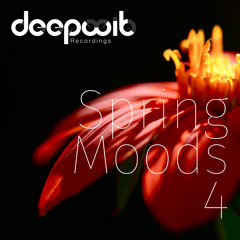 Deephope - Sushi (Original Mix)[DeepWit Recordings]