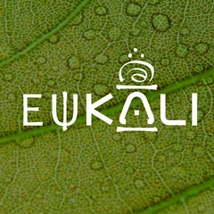 Eukali - Fireflies (Etnia Remix)[cut]