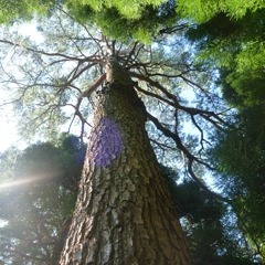 “You are my hope” 視聴用