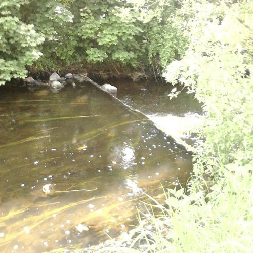 If love was a river (Alan Jackson Cover)