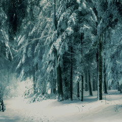 Winter Landscapes - for electric guitar duo