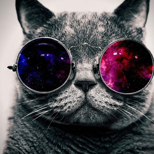 COOL