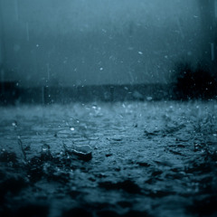 Rain On The Ashes - Sean Dwyre (music produced and performed by Peter Savad)