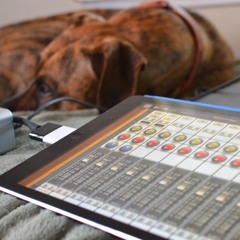 No Scrubs (TLC Cover) at Sweden