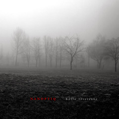 Swedish Moose Antler